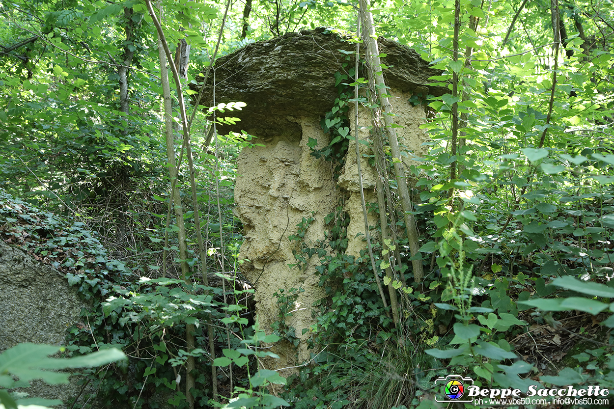 VBS_8941 - I Ciciu del Villar. Villar San Costanzo. Val Maira (Cuneo).jpg
